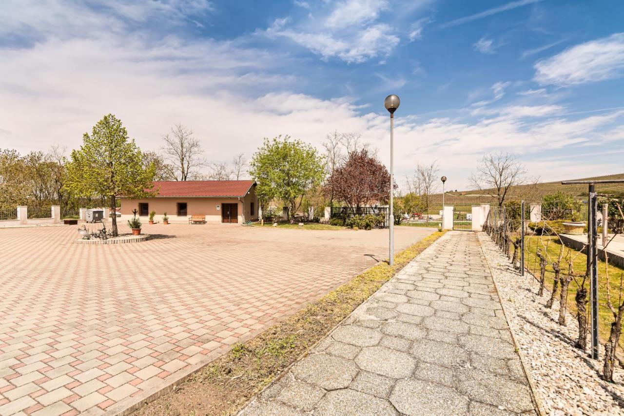 Resort Kovacs Novosedly  Zewnętrze zdjęcie