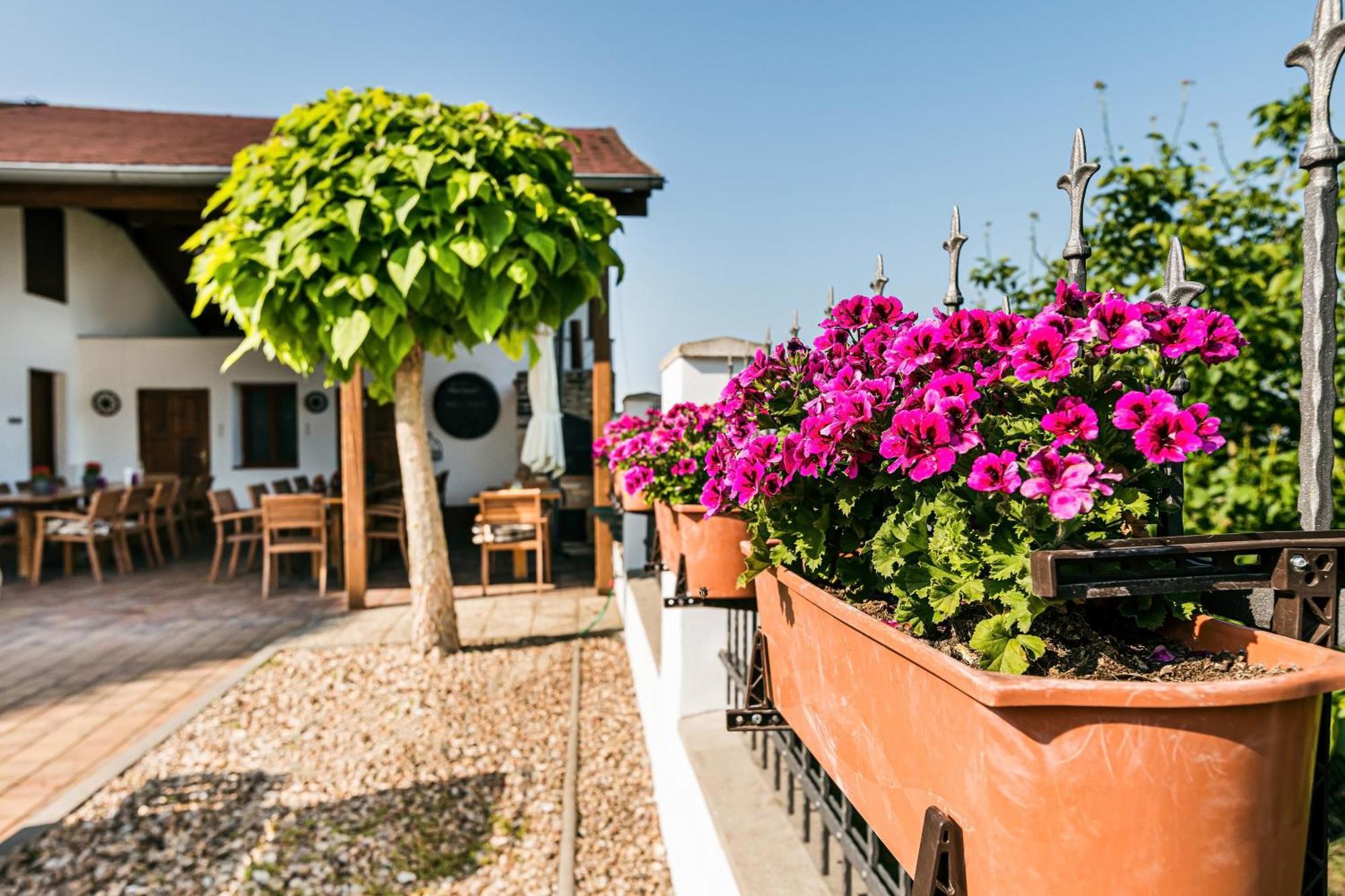 Resort Kovacs Novosedly  Zewnętrze zdjęcie